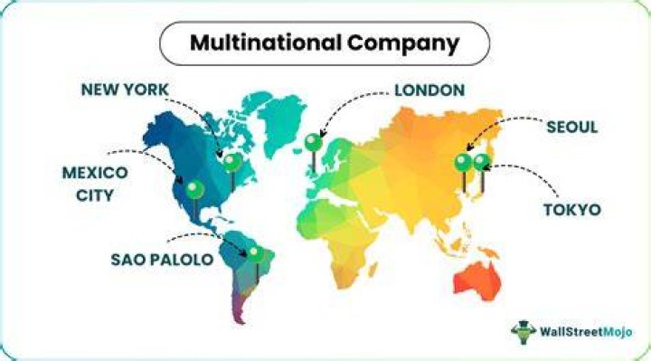 Are multinationals beneficial or harmful to developing nations?
