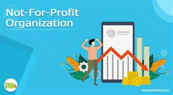 How can I start a not for profit organization?
