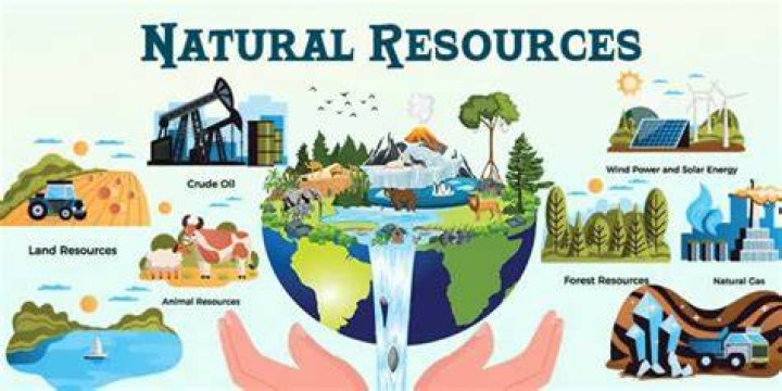 How has Germany made up for its shortage of natural resources?
