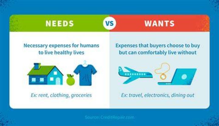 What are the differences between needs and wants?