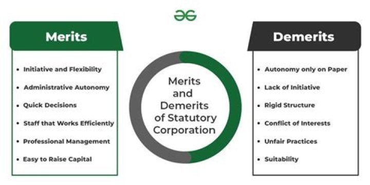 What are the merits and demerits of public corporation?