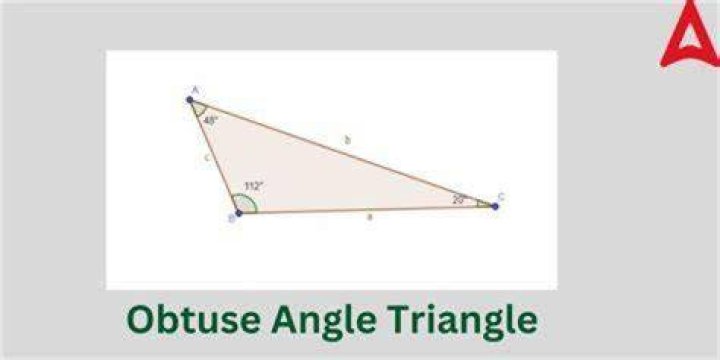What does it mean when a person is being obtuse?