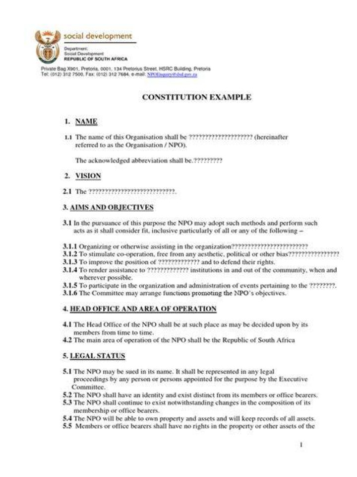 What is a NPO constitution?