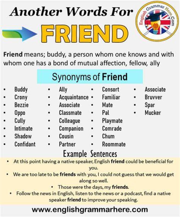 What is another word for a group of friends?