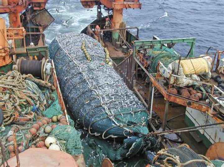 What is arrastre in shipping?