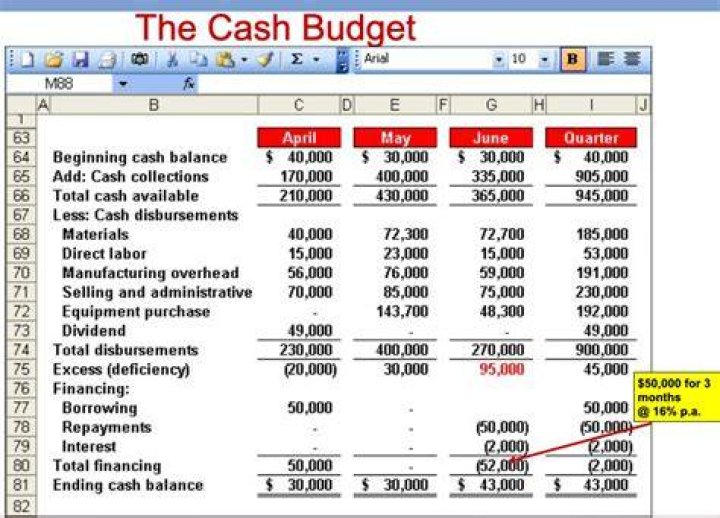 What is cash budget with example?