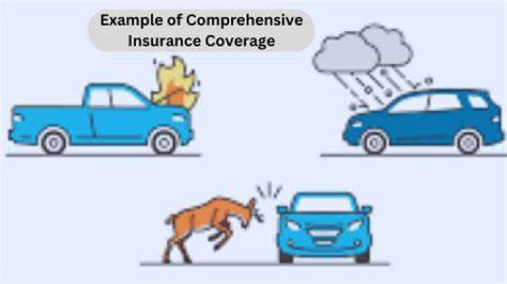 What is excluded from comprehensive coverage?