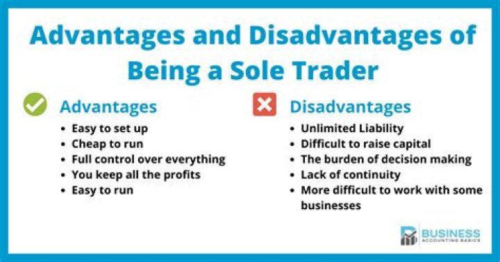 What is the advantages and disadvantages of sole trader?