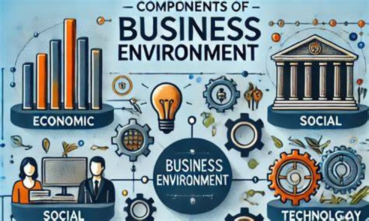 What is the best definition of the business environment?