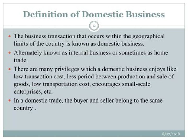 What is the definition of domestic business?
