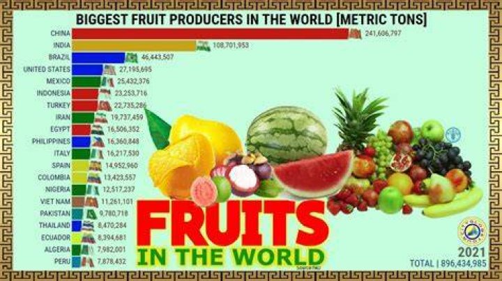 What is the most exported fruit?