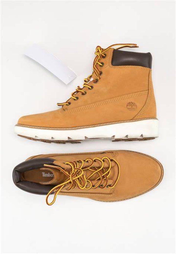 Who is Timberland owned by?