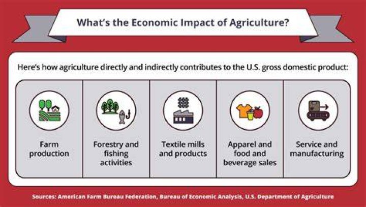 Why is it important for economic activities?